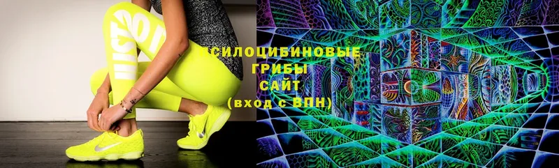 Псилоцибиновые грибы Magic Shrooms  сколько стоит  Билибино 